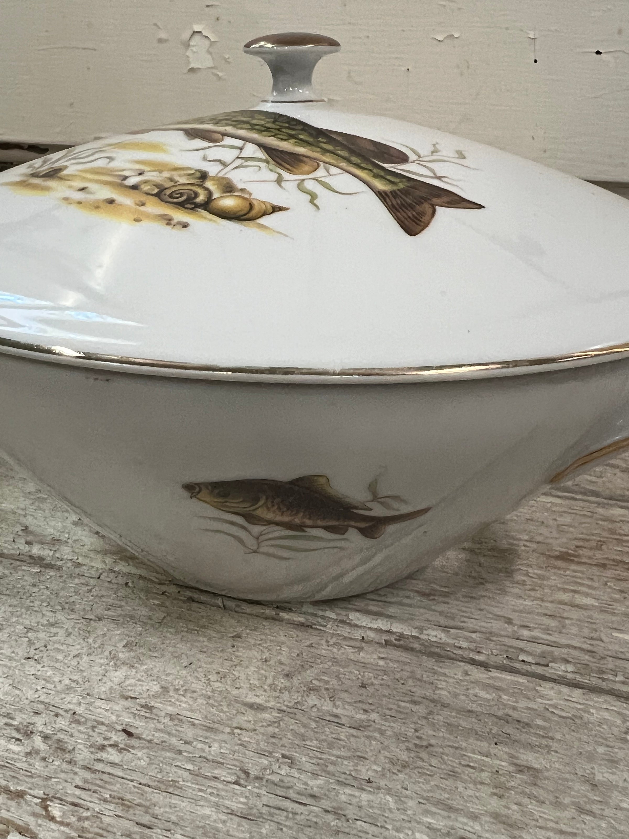 Fish Plates Set of 8, French, Kahla Made in GDR, 1950s, East