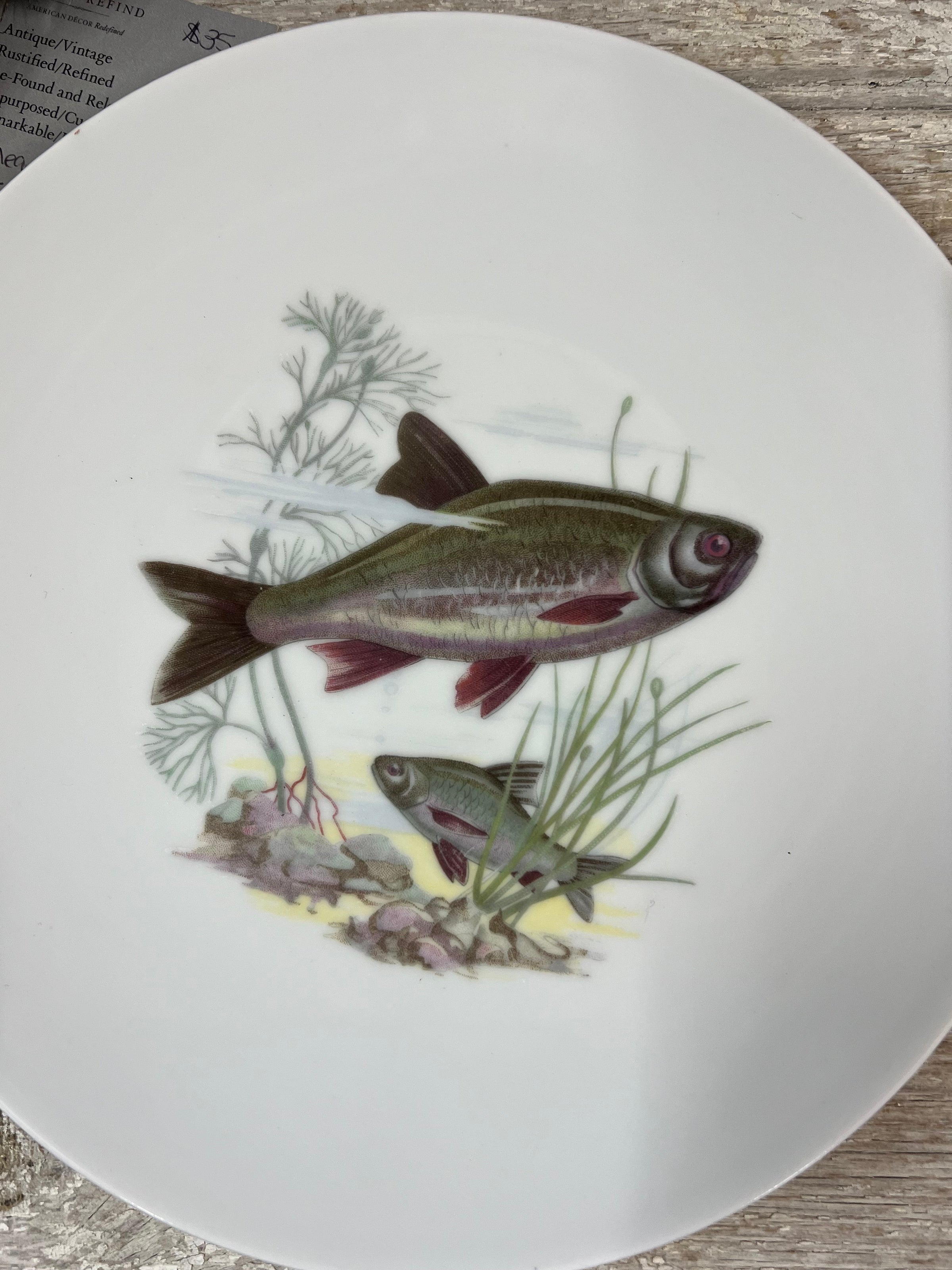 Fish Plates Set of 8, French, Kahla Made in GDR, 1950s, East