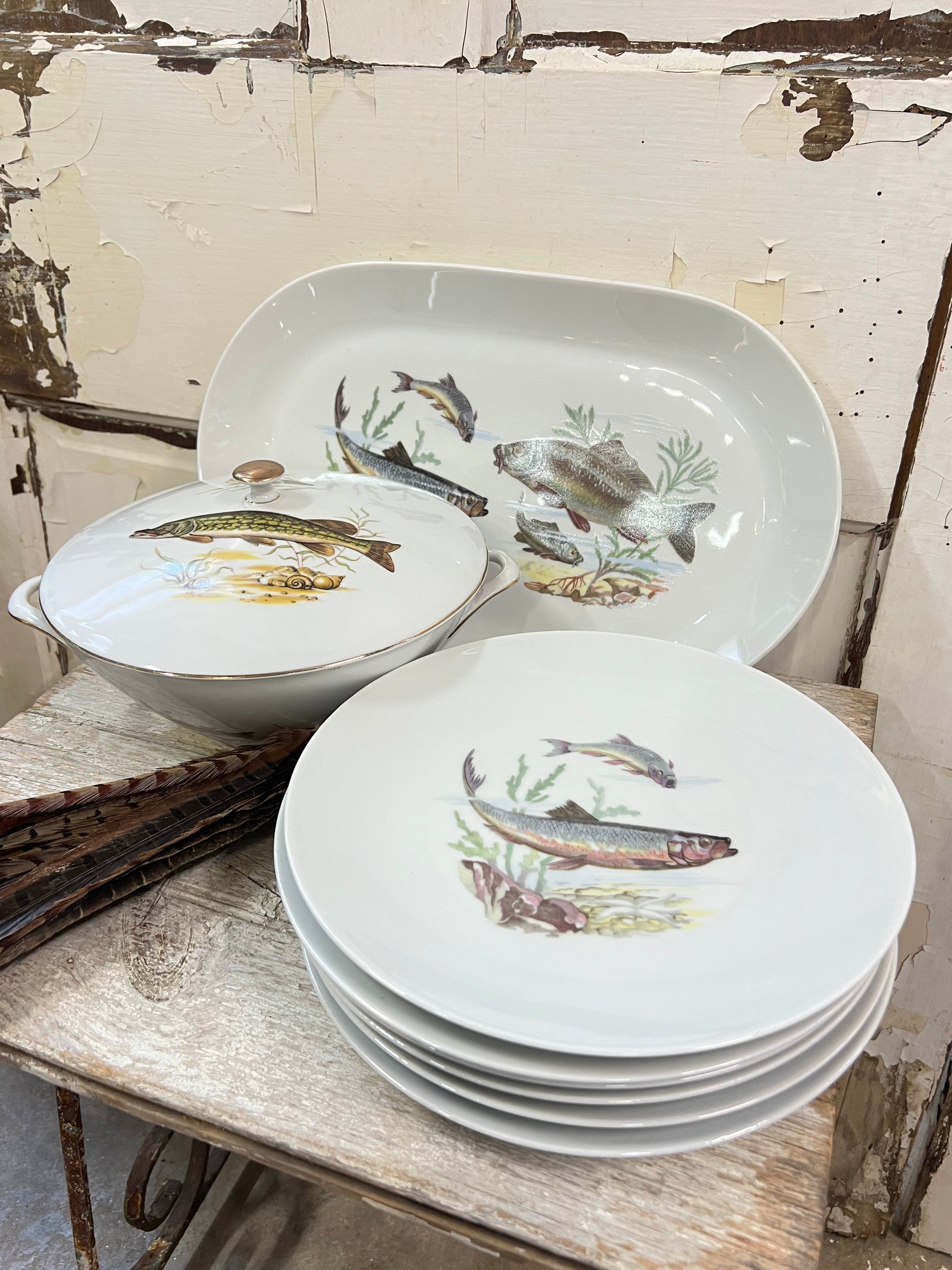 Fish Plates Set of 8, French, Kahla Made in GDR, 1950s, East