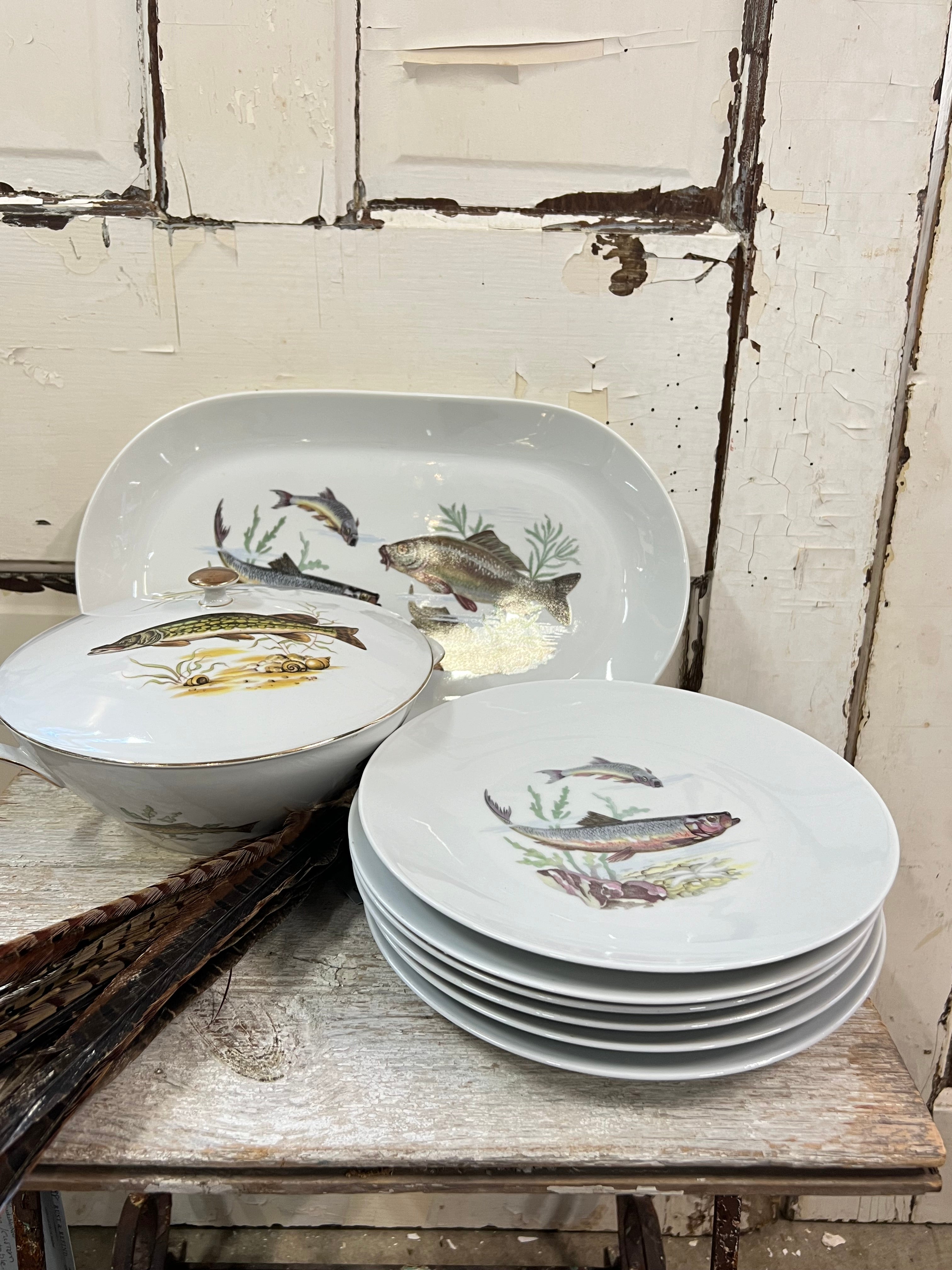 Fish Plates Set of 8, French, Kahla Made in GDR, 1950s, East