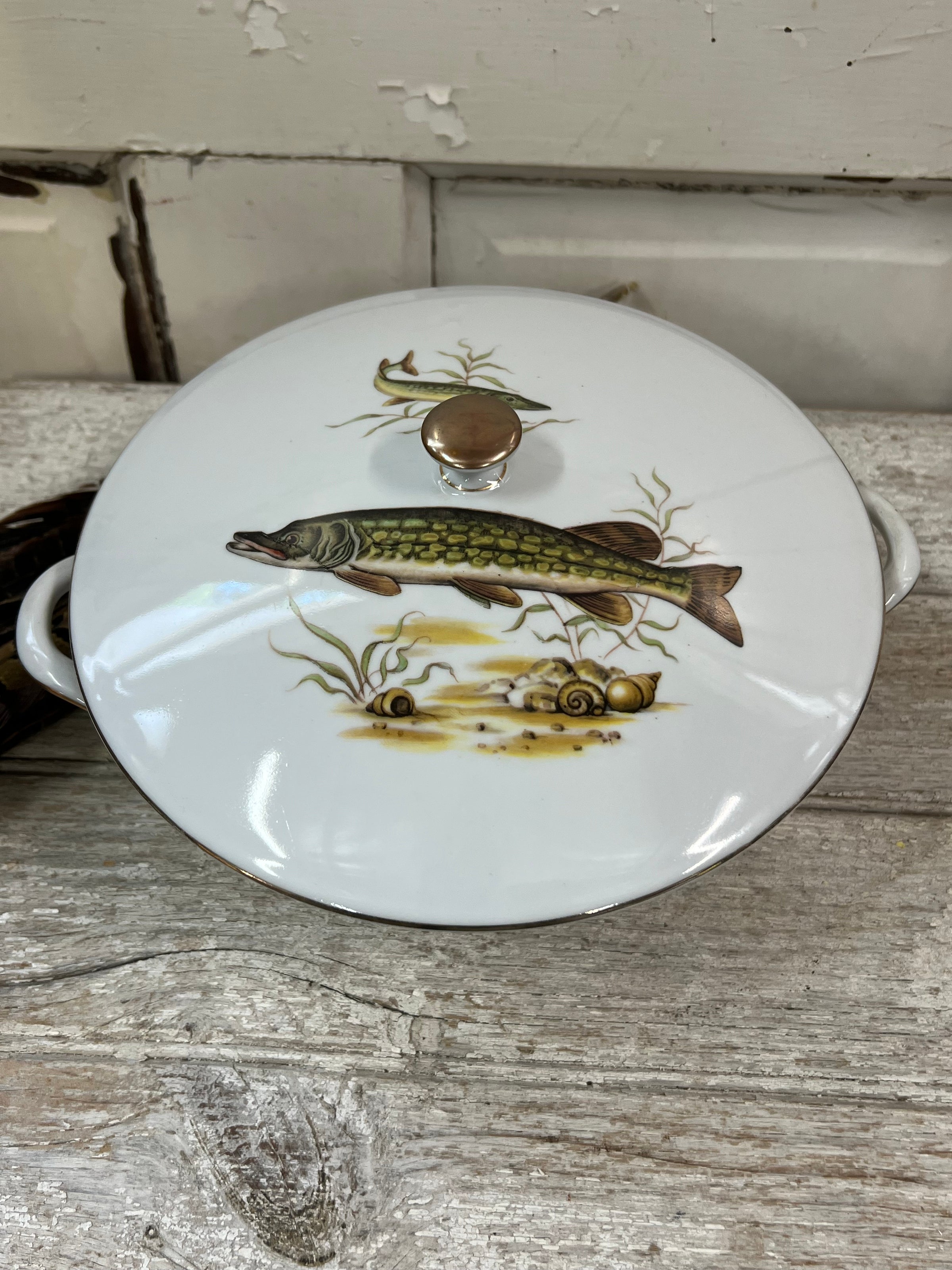 Fish Plates Set of 8, French, Kahla Made in GDR, 1950s, East